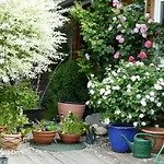 4-sterne Roesslewiese Apartamento *