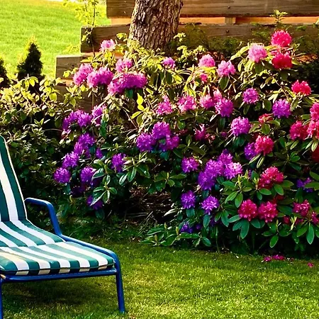 4-sterne Roesslewiese *