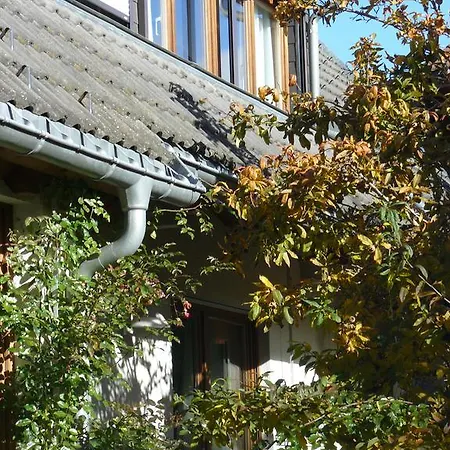 4-sterne Roesslewiese *