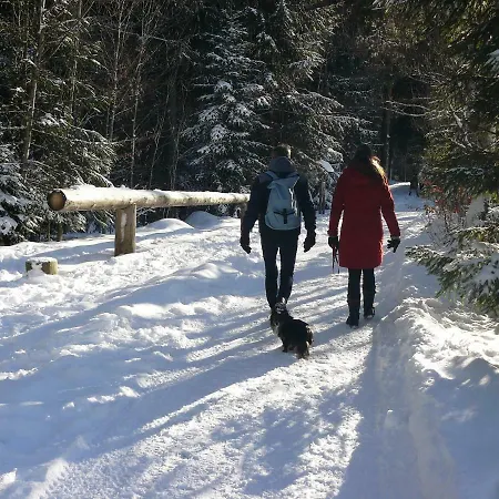 Apartamento 4-sterne Roesslewiese *