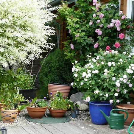 4-sterne Roesslewiese Apartamento *