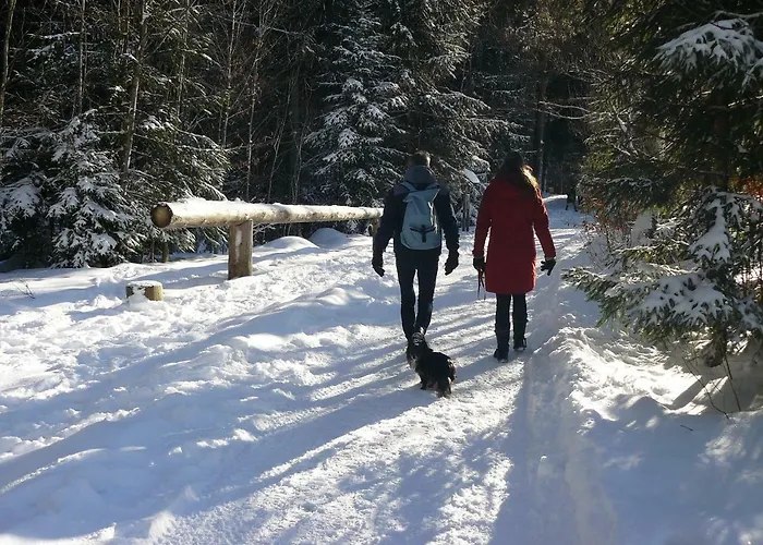 Lejlighed 4-sterne Roesslewiese *