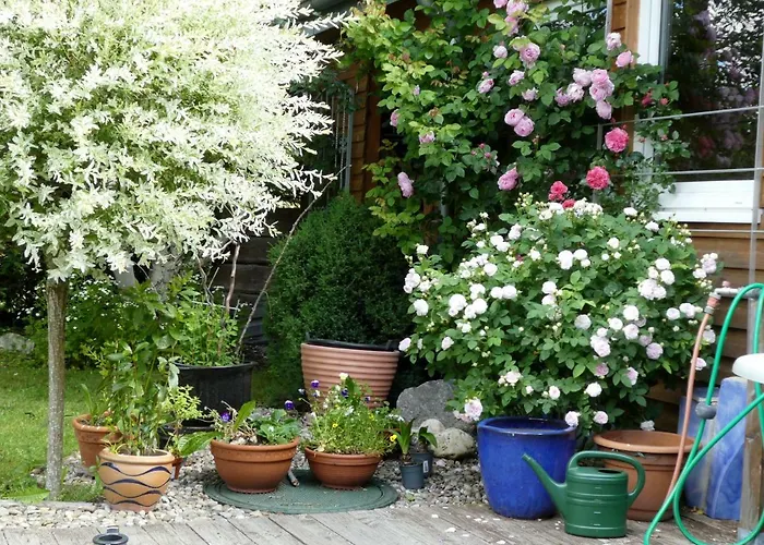 4-sterne Roesslewiese Lejlighed *